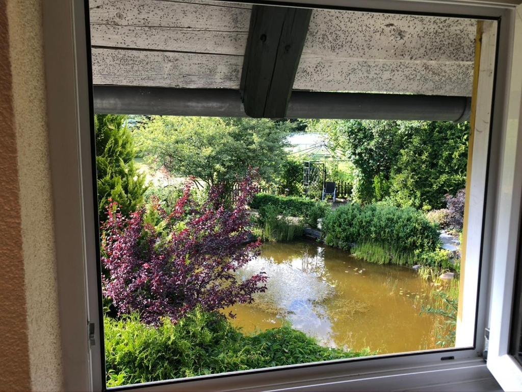 Ferienwohnung Zuendholz Benneckenstein Dış mekan fotoğraf